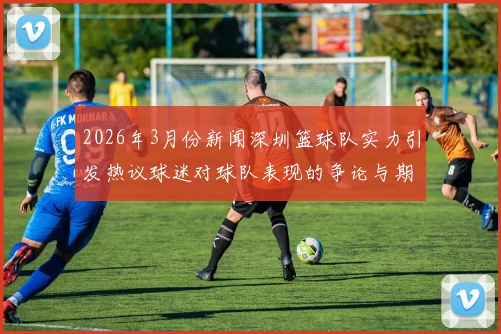 2026年3月份新闻深圳篮球队实力引发热议球迷对球队表现的争论与期待